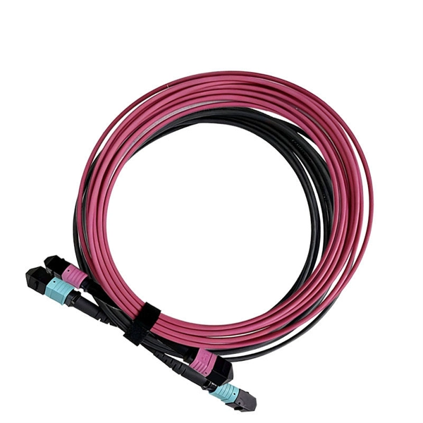 Brunei Box-Type Optical Splitter Ranking - E-Motional Optics & Connectivity