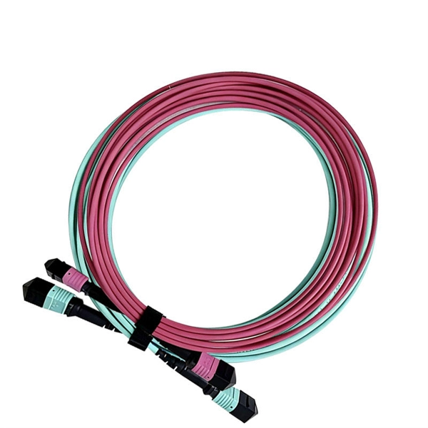 Case Study of 1U Cable Management Rack Installation in Costa Rica Data Center - E-Motional Optics & Connectivity