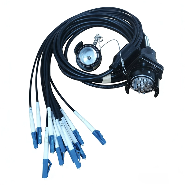 Latvian AI Server System - E-Motional Optics & Connectivity