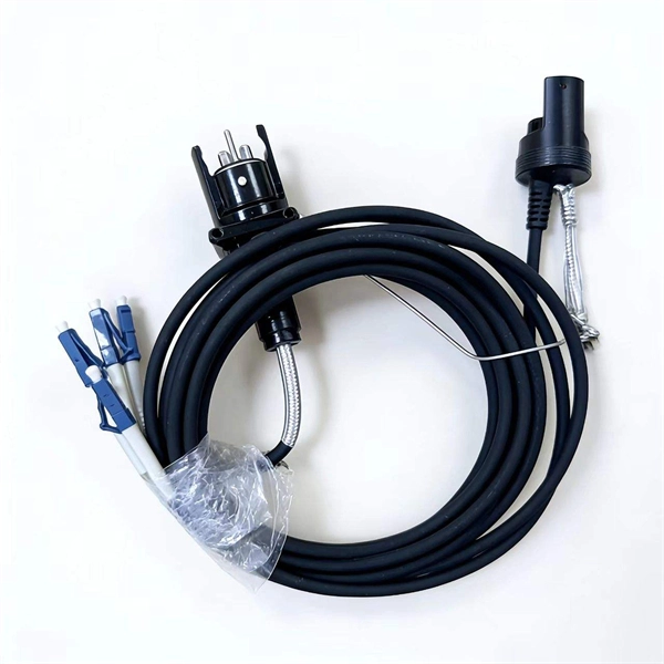 Indoor distribution box with switch - E-Motional Optics & Connectivity