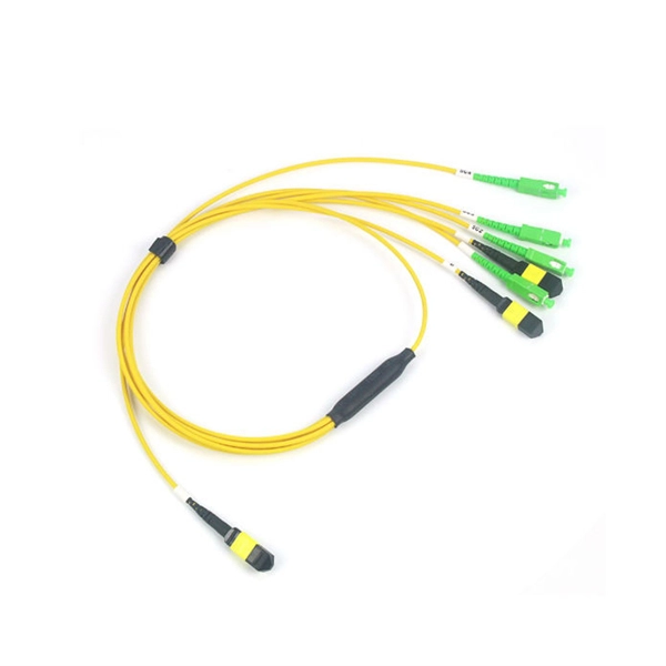 Slovenia Cost-Effective Carrier-Grade Router DML - E-Motional Optics & Connectivity