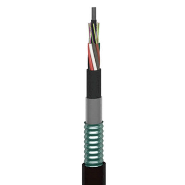 XMP Distribution Box - E-Motional Optics & Connectivity
