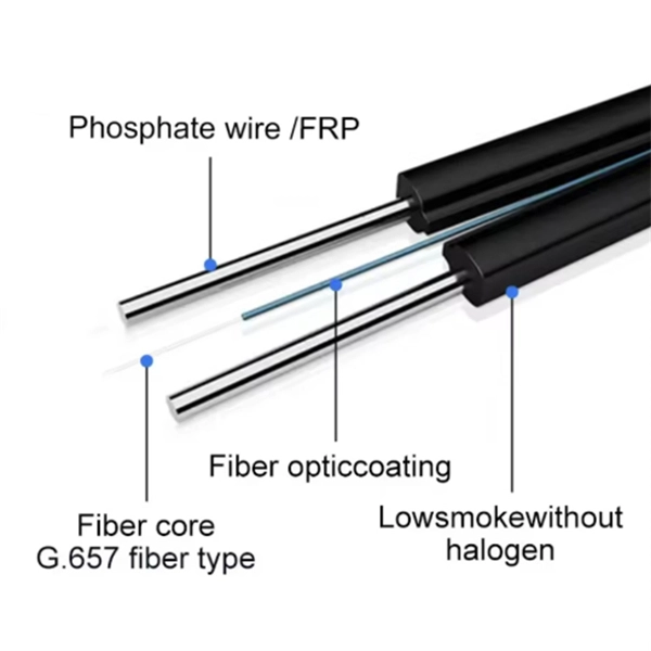 Nepal Warranty Tunable Optical Module 2 5G - E-Motional Optics & Connectivity
