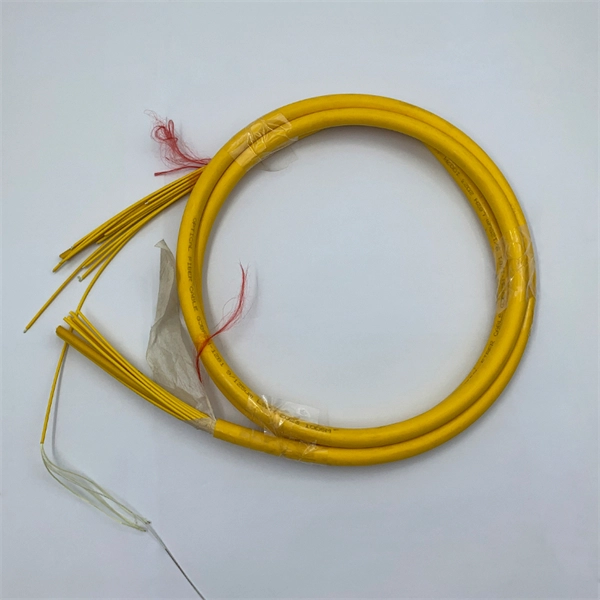 Fiber Optic Communication Authentication