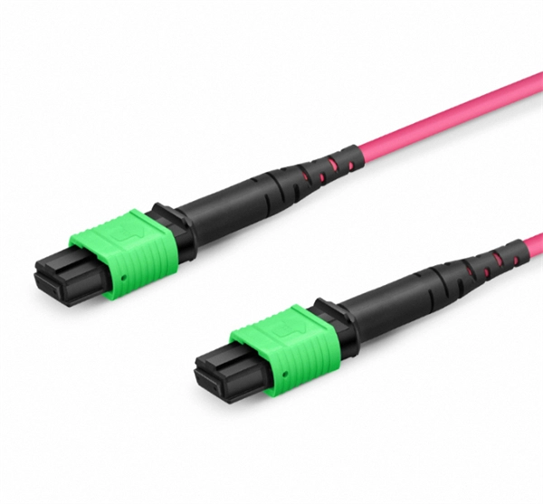 Ranking of Companies in the Communication Optical Module Industry
