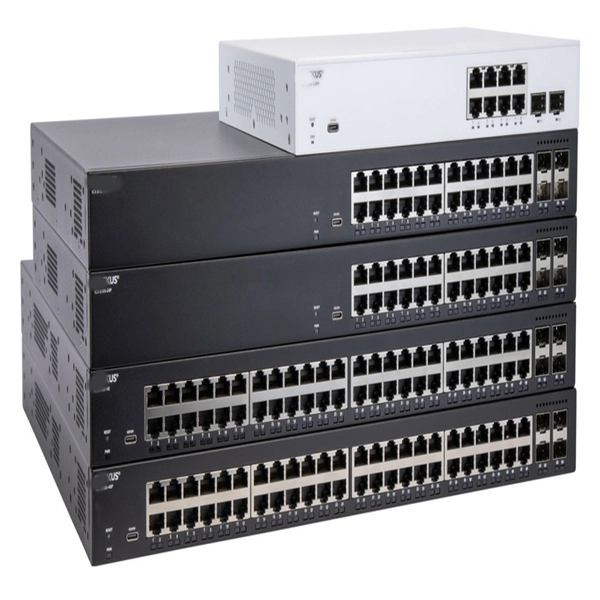 What core switches are used